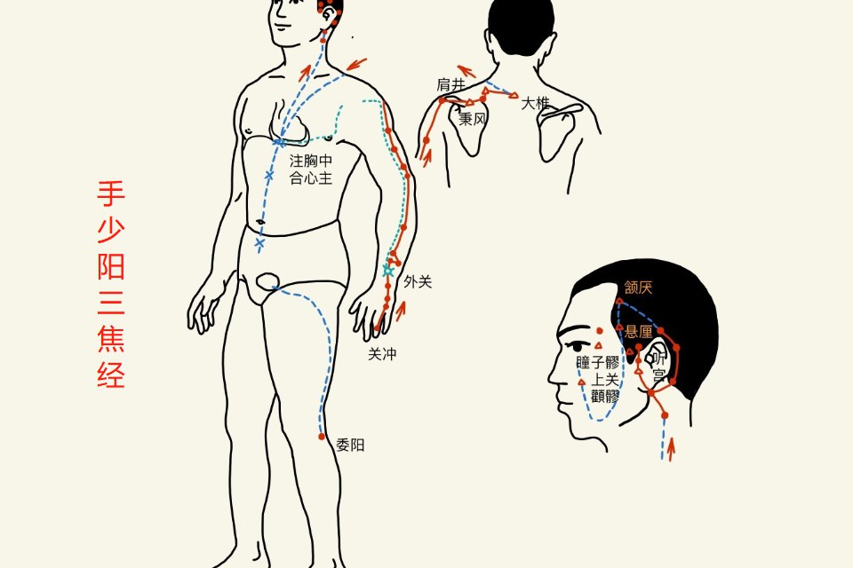 手少阳三焦经图片