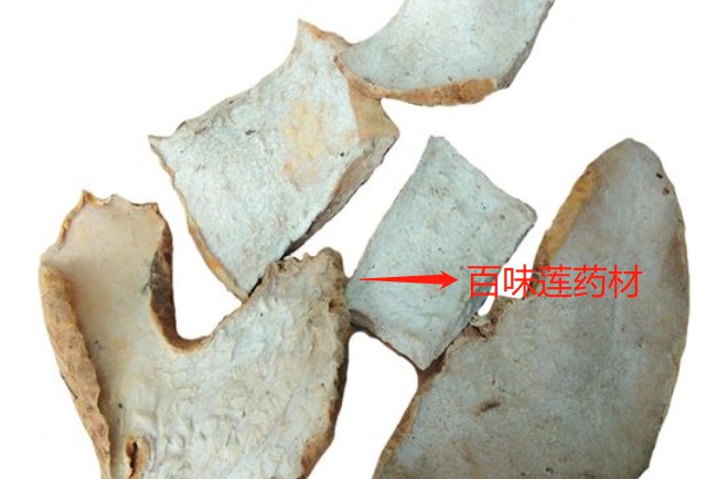 百味莲药材图片