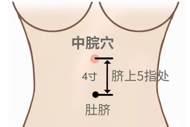 中院穴准确位置图
