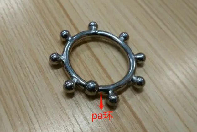 pa环图片