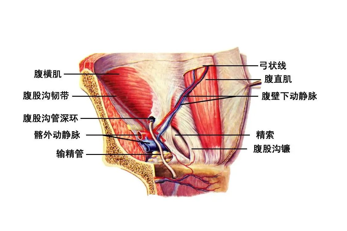 股三角区