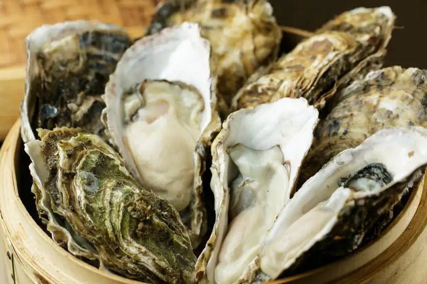 中药生牡蛎的功效与作用