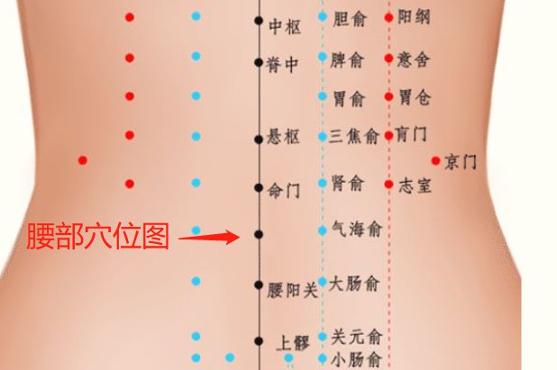 腰部穴位图