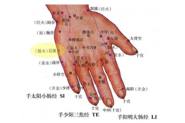 手部经络图