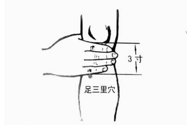 足三里简易取法图片