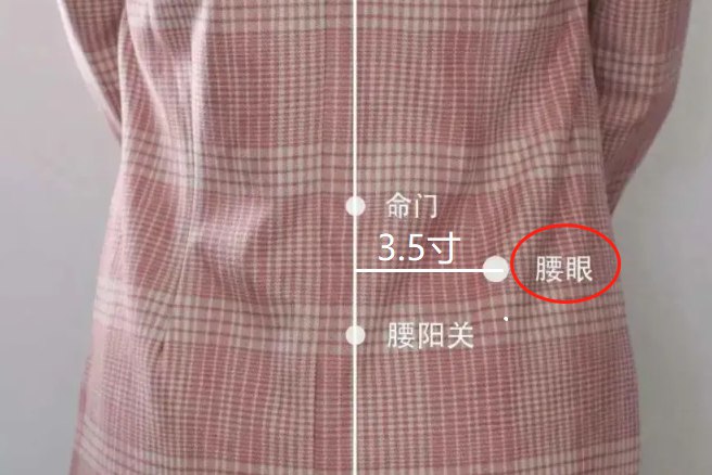 腰眼的准确位置图