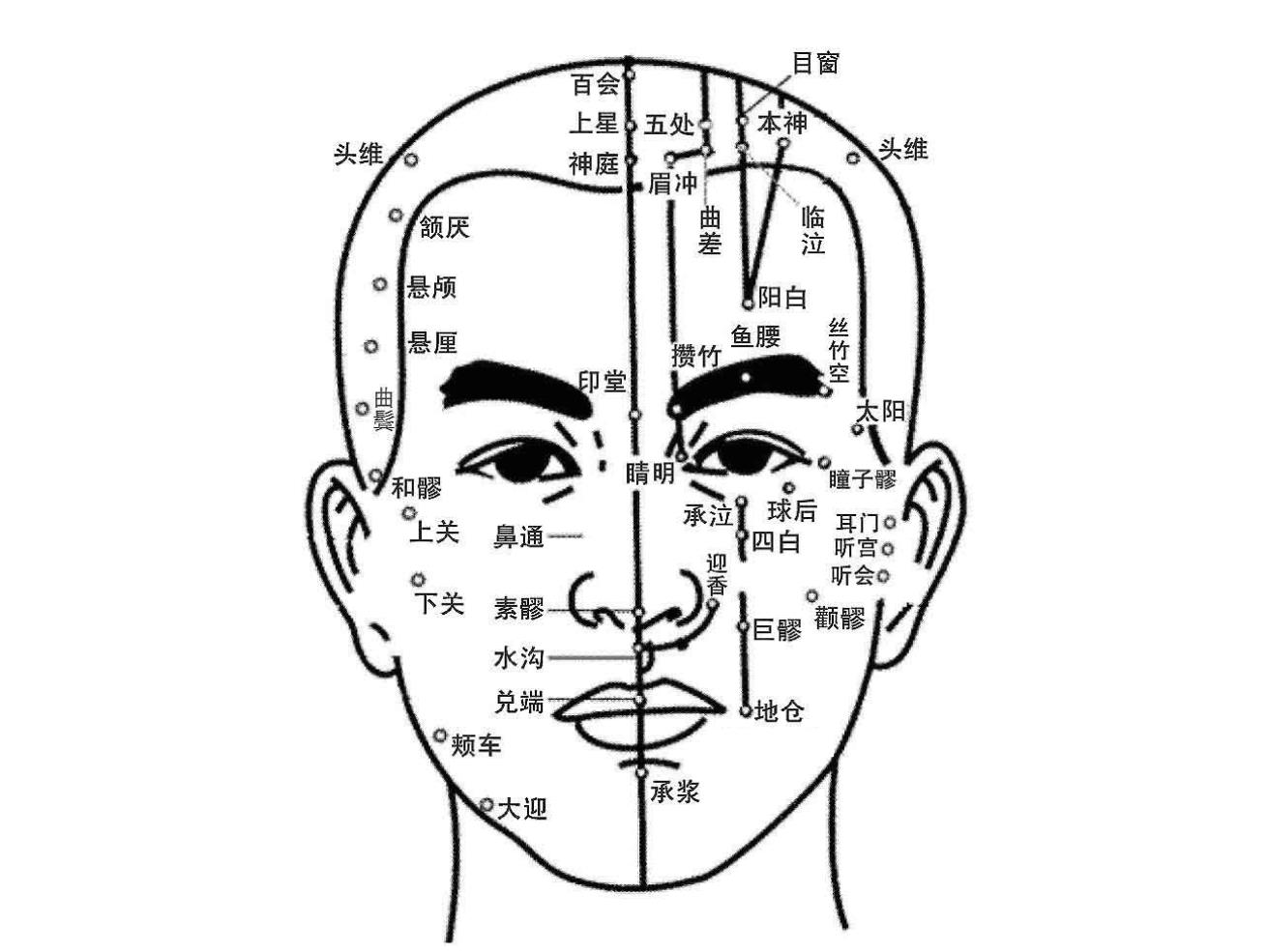 面部经络图位置清晰图图片